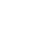 Napoleon’s Coronation shoes